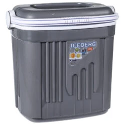 Kühlbox 20 Liter Aus Kunststoff In Grau Mit Tragegriff