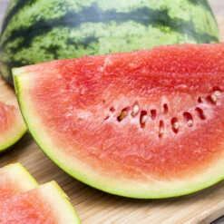 Melone Verschiedene Sorten Im Topf Vorgezogen