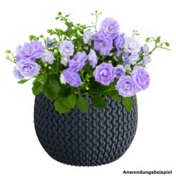 Prosperplast Blumentopf Splofy Bowl Ø 29 Cm Mit Einsatz In Anthrazit -Prosper Garten Geschaft 2QOGwZ3XVE48uje 1280x1280