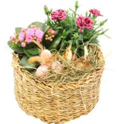 Weidenkorb Rund, Mit Pflanzen Und Deko