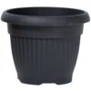 Prosperplast Blumentopf Terra Rund 30 Cm In Anthrazit 2 Prosperplast Blumentopf Terra Rund 30 Cm In Anthrazit -Prosper Garten Geschaft 2QeuQjZP6KQXbBe 1280x1280 4