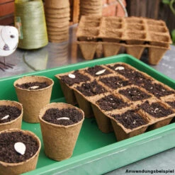 Anzuchtschale Aus Kunststoff Mit Belüftetem Deckel -Prosper Garten Geschaft 2QqiQwNv32iknTo 1280x1280