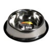 Hundenapf Mit Gummiring Ø 14,5 Cm Aus Edelstahl 1 Hundenapf Mit Gummiring Ø 14,5 Cm Aus Edelstahl -Prosper Garten Geschaft 2Qy93Hu4shU6KZw 1280x1280