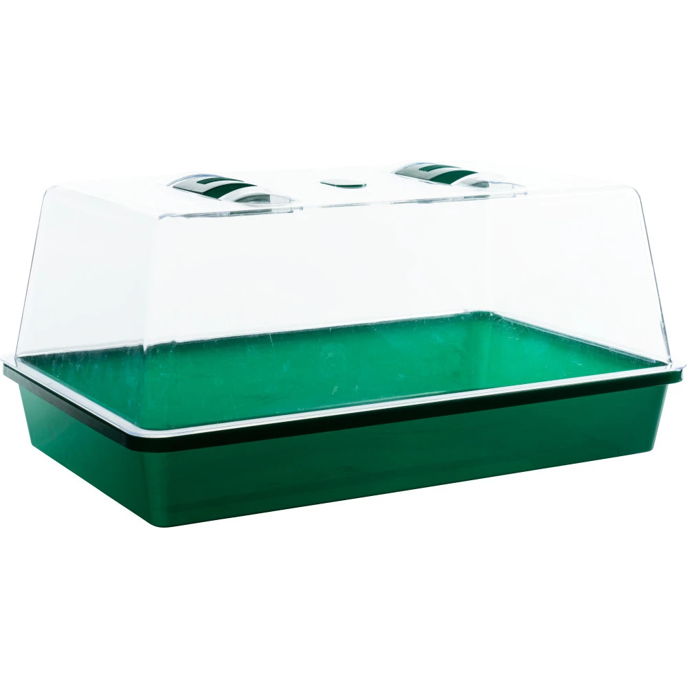 Zimmergewächshaus 38x24 Cm Mit Belüftetem Deckel 3 Zimmergewächshaus 38x24 Cm Mit Belüftetem Deckel