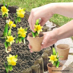 Prosper Garten Geschaft -Prosper Garten Geschaft 9kBAkSu3KOe7r64 1280x1280