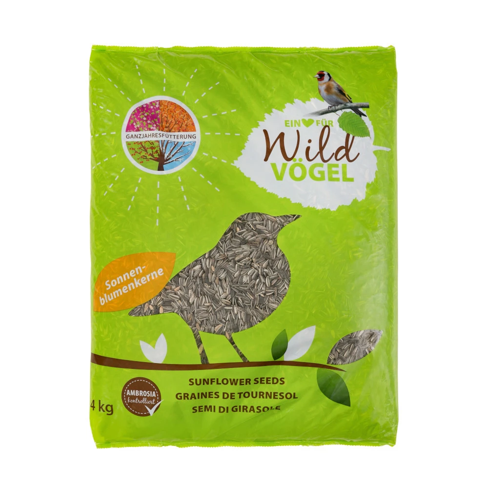 Sonnenblumenkerne 4 Kg Mit Hohem Ölgehalt Für Mehr Energie 3 Sonnenblumenkerne 4 Kg Mit Hohem Ölgehalt Für Mehr Energie