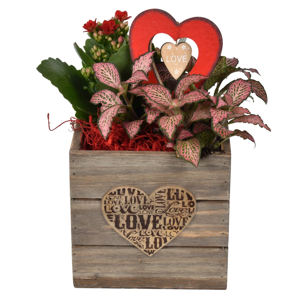 Holzgefäß Viereckig Bepflanzt Mit Deko 3 Holzgefäß Viereckig Bepflanzt Mit Deko