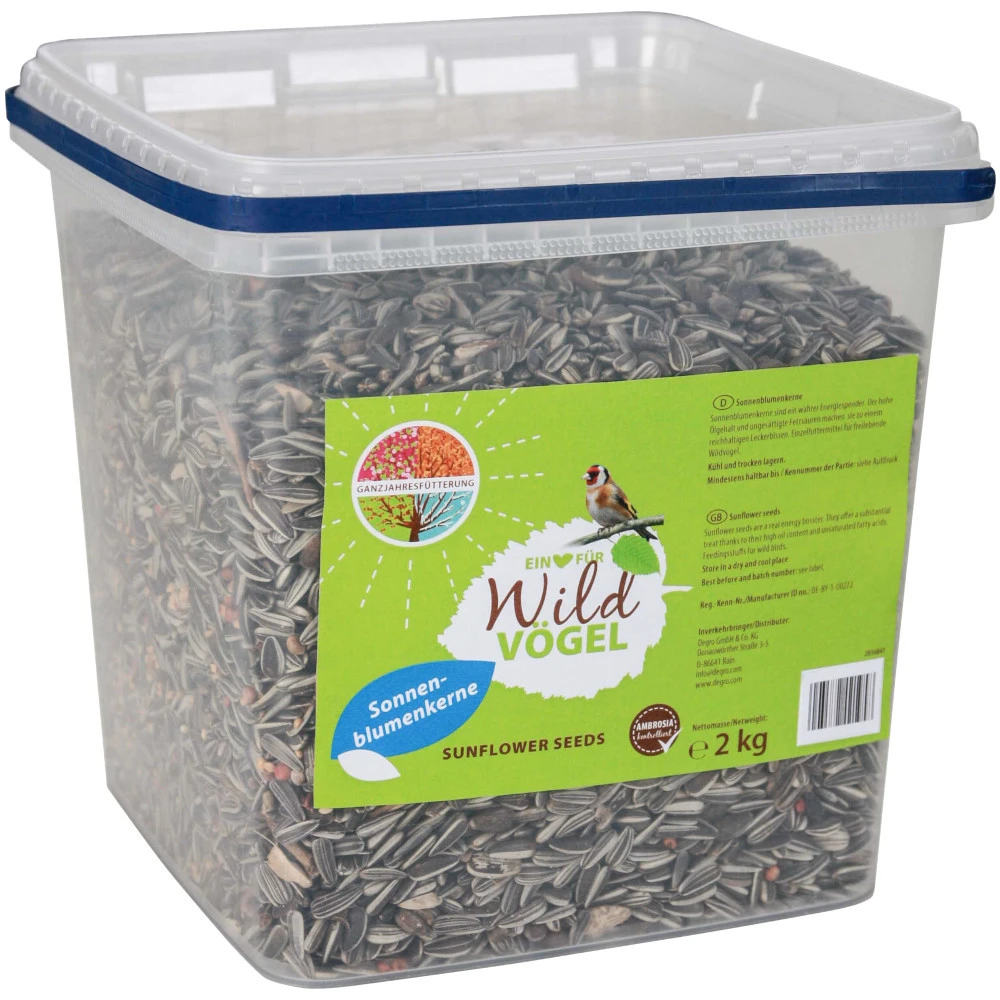 Sonnenblumenkerne 2 Kg Im Eimer Mit Hohem Ölgehalt Für Mehr Energie 3 Sonnenblumenkerne 2 Kg Im Eimer Mit Hohem Ölgehalt Für Mehr Energie