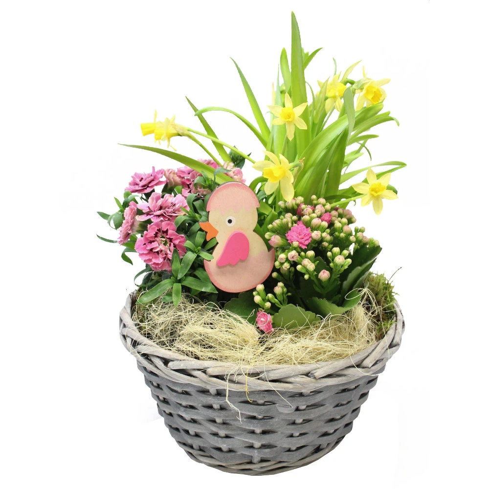 Flechtkorb In Grau, Mit Pflanzen Und Deko 3 Flechtkorb In Grau, Mit Pflanzen Und Deko