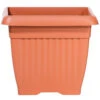 Prosperplast Blumentopf Terra Eckig 15 X 15 Cm In Terracotta 2 Prosperplast Blumentopf Terra Eckig 15 X 15 Cm In Terracotta -Prosper Garten Geschaft 9kmZPpnxAMbD4Iu 1280x1280
