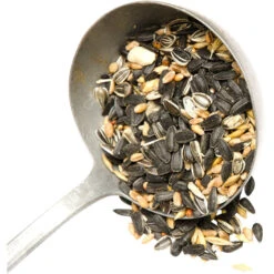 Vogelfutter 1 Kg Streufutter 5 Vogelfutter 1 Kg Streufutter -Prosper Garten Geschaft 9koAN7YutozcbNz 1280x1280 1