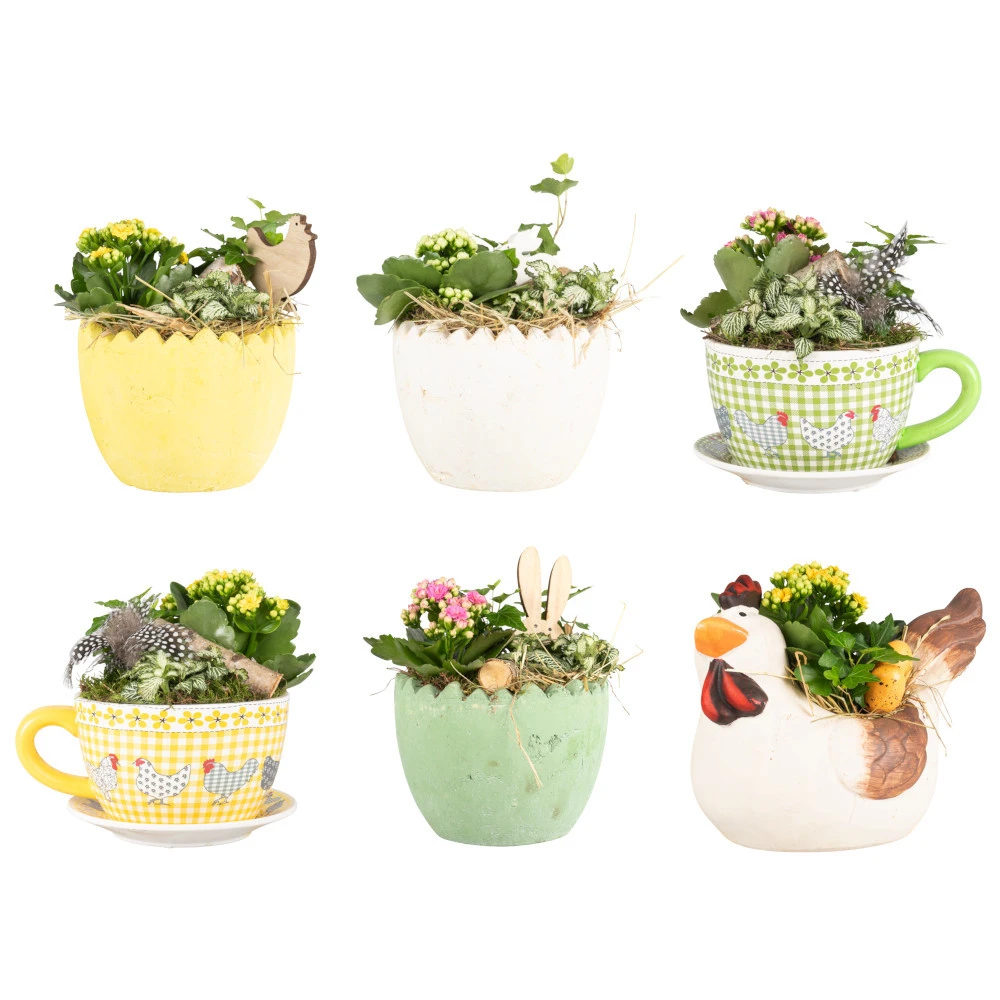 Ostergefäß Aus Kermik Mit Blumen Bepflanzt 3 Ostergefäß Aus Kermik Mit Blumen Bepflanzt