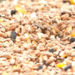 Vogelfutter 1 Kg Spezielles Fett- Und Weichfutter -Prosper Garten Geschaft Z4bcwFFExGQWcD 1280x1280 1