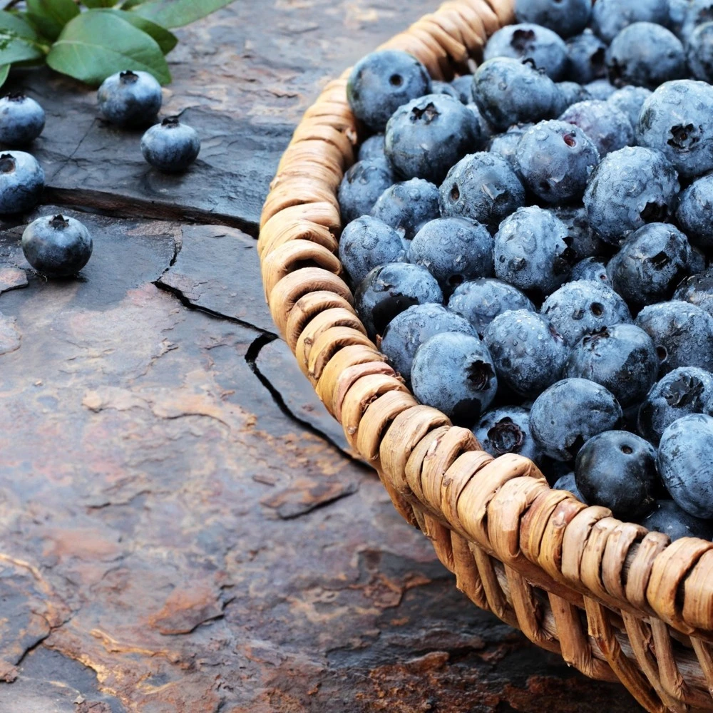 Beerenobst Im Sortiment 5 Beerenobst Im Sortiment – Bild 3