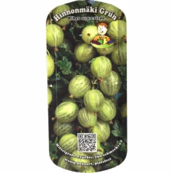 Beerenobst Im Sortiment 10 Beerenobst Im Sortiment -Prosper Garten Geschaft Z7JnLdzjTH7ImS 1280x1280