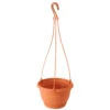 Prosperplast Hängeampel Agro Ø 24 Cm In Terracotta 1 Prosperplast Hängeampel Agro Ø 24 Cm In Terracotta -Prosper Garten Geschaft ZArUhB5sMUVgZ4 1280x1280