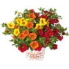 Confetti Garden Trio Sommerblumen Mix Mit Blumentopf 12 Cm 1 Confetti Garden Trio Sommerblumen Mix Mit Blumentopf 12 Cm -Prosper Garten Geschaft ZHtseYTqVvztmz 1280x1280