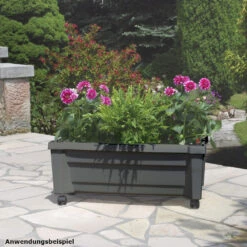 Pflanzkasten Calypso Rollbar Anthrazit Aus Kunststoff 9 Pflanzkasten Calypso Rollbar Anthrazit Aus Kunststoff -Prosper Garten Geschaft ZRBOaK9TIOma3T 1280x1280