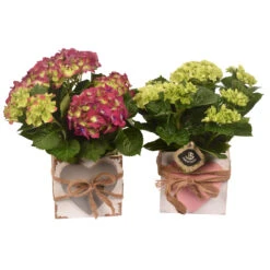 Holzgefäß Bepflanzt Mit Deko