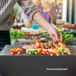 Holzkohlegrill Zusammenfaltbar 36,5x28x46 Cm -Prosper Garten Geschaft ZvebDoLjhzXKan 1280x1280