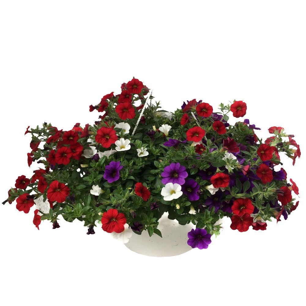 Sommerblumenampel XXL, In Verschiedenen Ausführungen 3 Sommerblumenampel XXL, In Verschiedenen Ausführungen