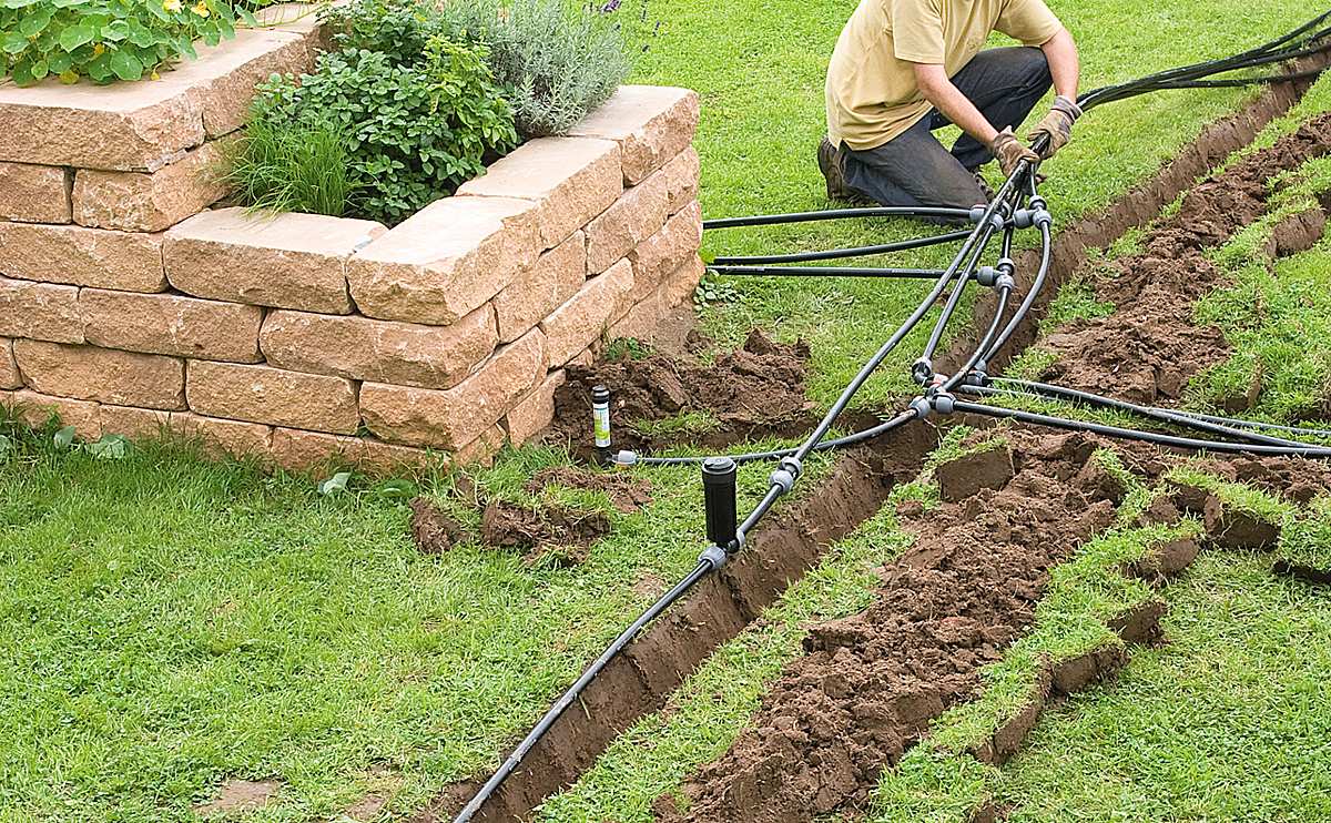 Prosper Garten Geschaft -Prosper Garten Geschaft imageid023f4f35bselbstw1200rmsk